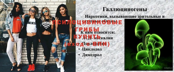 ешки Алексеевка