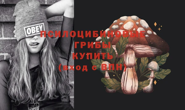 ешки Алексеевка